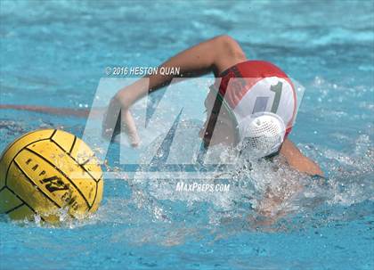 Thumbnail 2 in Poly @ Esperanza photogallery.