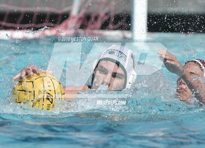 Thumbnail 1 in Poly @ Esperanza photogallery.