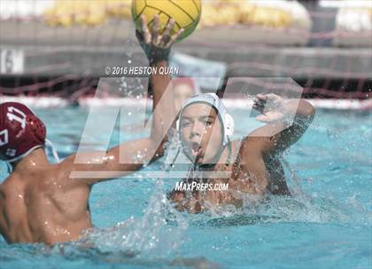 Thumbnail 3 in Poly @ Esperanza photogallery.