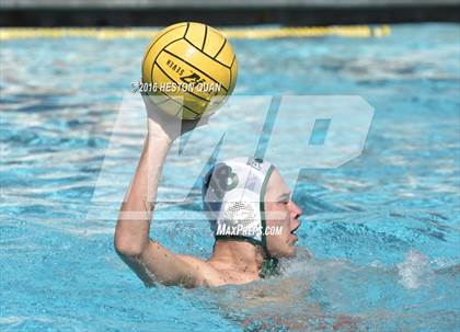 Thumbnail 3 in Poly @ Esperanza photogallery.