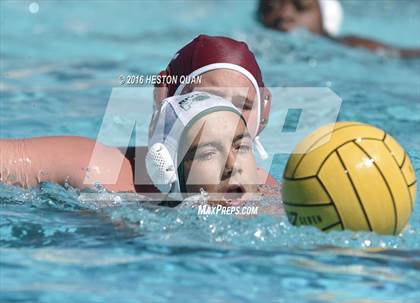 Thumbnail 2 in Poly @ Esperanza photogallery.