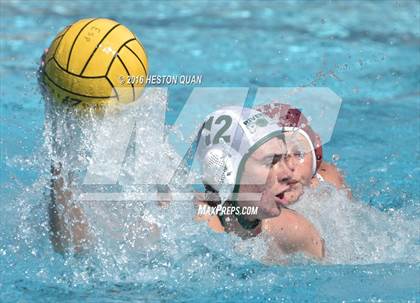 Thumbnail 2 in Poly @ Esperanza photogallery.