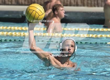 Thumbnail 1 in Poly @ Esperanza photogallery.