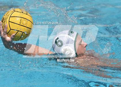 Thumbnail 1 in Poly @ Esperanza photogallery.