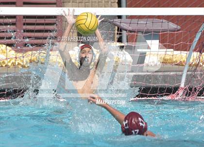 Thumbnail 3 in Poly @ Esperanza photogallery.