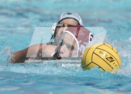 Thumbnail 1 in Poly @ Esperanza photogallery.