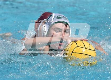Thumbnail 2 in Poly @ Esperanza photogallery.