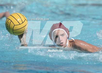 Thumbnail 2 in Poly @ Esperanza photogallery.