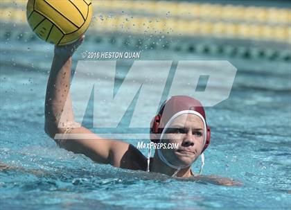 Thumbnail 2 in Poly @ Esperanza photogallery.