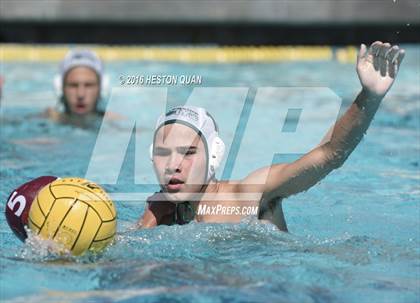 Thumbnail 1 in Poly @ Esperanza photogallery.