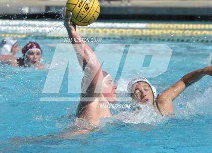 Thumbnail 1 in Poly @ Esperanza photogallery.