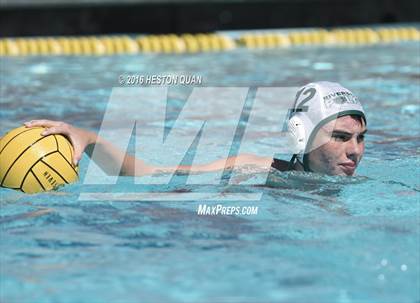 Thumbnail 1 in Poly @ Esperanza photogallery.