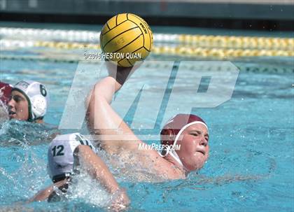 Thumbnail 1 in Poly @ Esperanza photogallery.