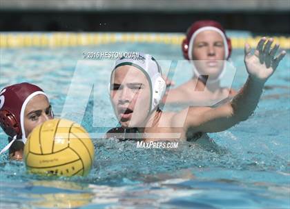 Thumbnail 3 in Poly @ Esperanza photogallery.