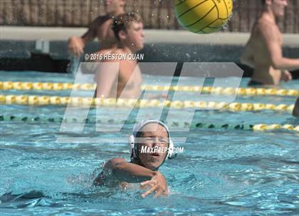 Thumbnail 2 in Poly @ Esperanza photogallery.