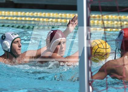 Thumbnail 2 in Poly @ Esperanza photogallery.