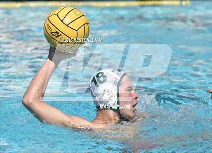 Thumbnail 1 in Poly @ Esperanza photogallery.
