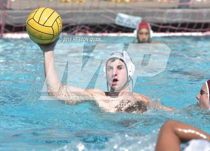 Thumbnail 3 in Poly @ Esperanza photogallery.