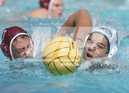 Thumbnail 1 in Poly @ Esperanza photogallery.
