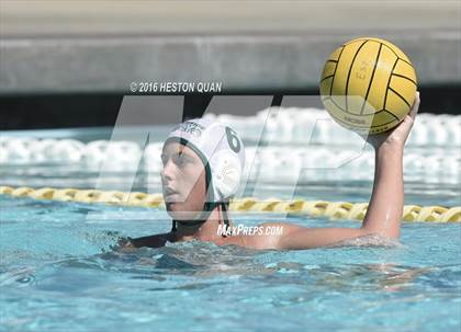 Thumbnail 3 in Poly @ Esperanza photogallery.