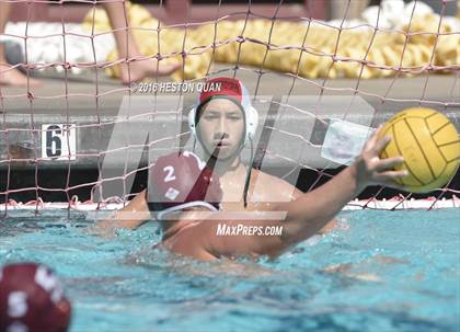 Thumbnail 2 in Poly @ Esperanza photogallery.