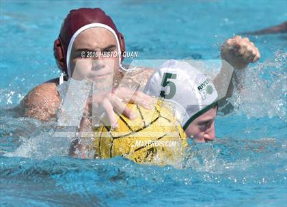 Thumbnail 3 in Poly @ Esperanza photogallery.