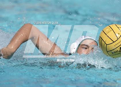 Thumbnail 3 in Poly @ Esperanza photogallery.