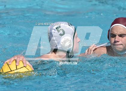 Thumbnail 2 in Poly @ Esperanza photogallery.