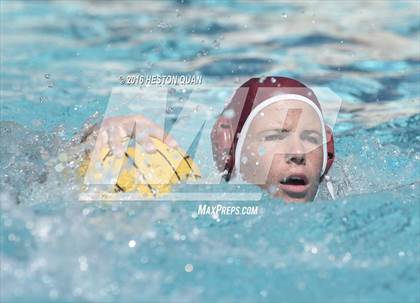 Thumbnail 2 in Poly @ Esperanza photogallery.