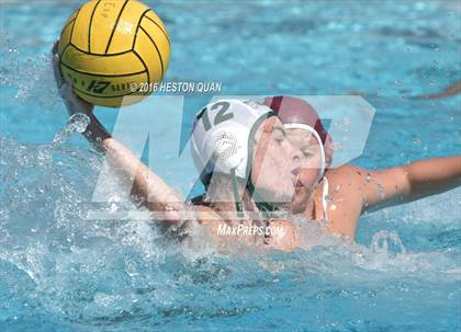 Thumbnail 3 in Poly @ Esperanza photogallery.