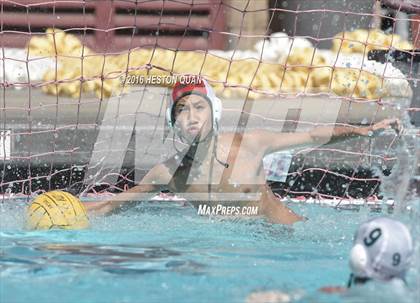 Thumbnail 2 in Poly @ Esperanza photogallery.