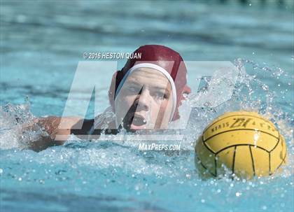 Thumbnail 1 in Poly @ Esperanza photogallery.