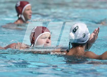 Thumbnail 3 in Poly @ Esperanza photogallery.
