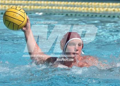 Thumbnail 3 in Poly @ Esperanza photogallery.