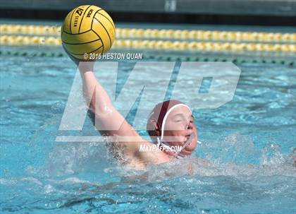 Thumbnail 1 in Poly @ Esperanza photogallery.