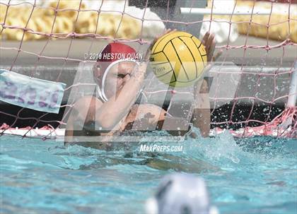 Thumbnail 1 in Poly @ Esperanza photogallery.