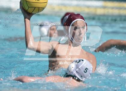 Thumbnail 3 in Poly @ Esperanza photogallery.