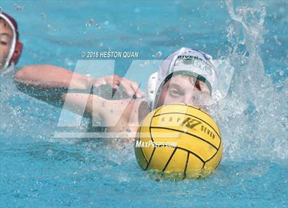 Thumbnail 1 in Poly @ Esperanza photogallery.