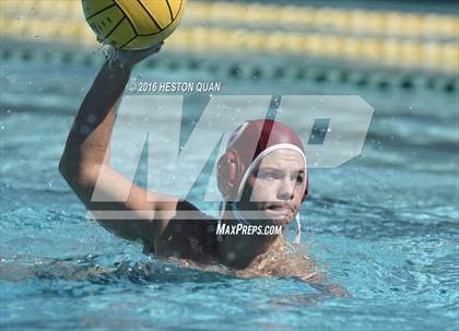 Thumbnail 3 in Poly @ Esperanza photogallery.