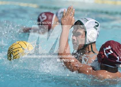 Thumbnail 3 in Poly @ Esperanza photogallery.
