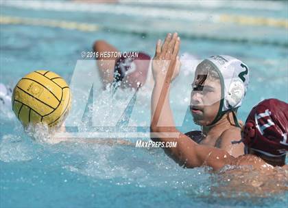 Thumbnail 1 in Poly @ Esperanza photogallery.