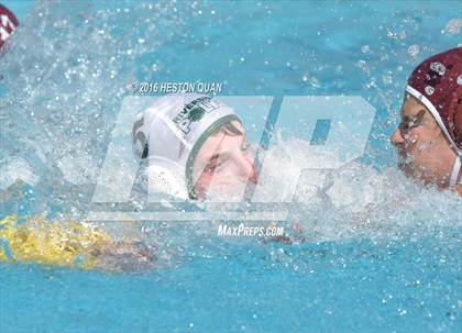 Thumbnail 2 in Poly @ Esperanza photogallery.