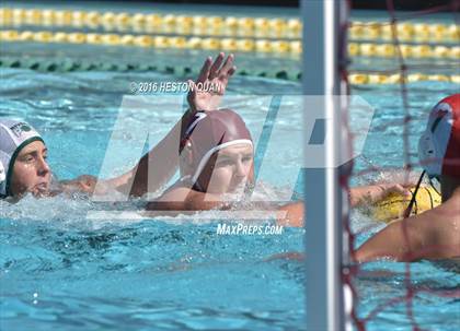 Thumbnail 1 in Poly @ Esperanza photogallery.