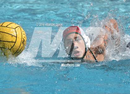 Thumbnail 3 in Poly @ Esperanza photogallery.