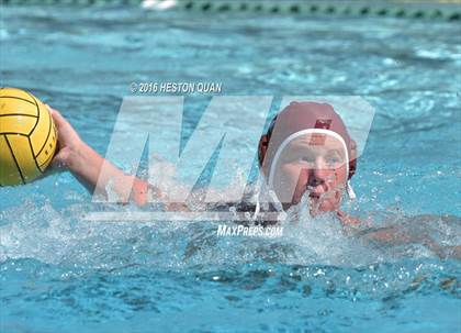 Thumbnail 2 in Poly @ Esperanza photogallery.