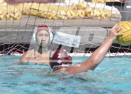Thumbnail 3 in Poly @ Esperanza photogallery.