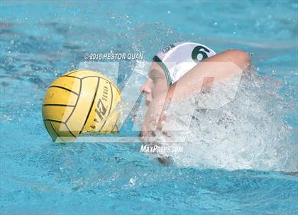 Thumbnail 1 in Poly @ Esperanza photogallery.