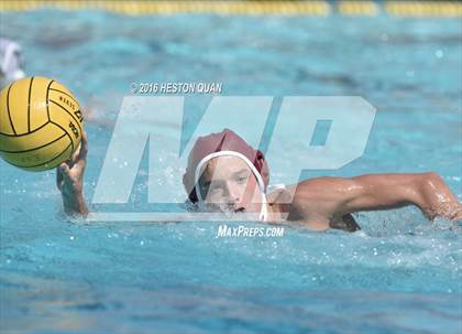 Thumbnail 3 in Poly @ Esperanza photogallery.