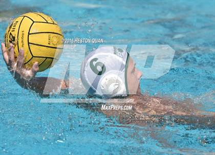 Thumbnail 2 in Poly @ Esperanza photogallery.