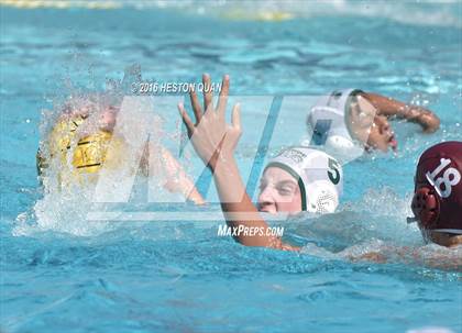 Thumbnail 2 in Poly @ Esperanza photogallery.